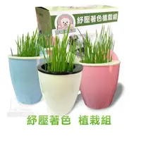 在飛比找PChome24h購物優惠-【PET DREAM】貓草著色植栽組 盆栽 種子澳洲製造 吊