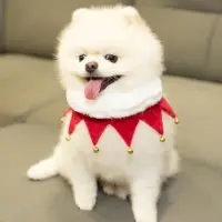 在飛比找momo購物網優惠-【QIDINA】寵物聖誕領巾項圈聖誕配件 A款(寵物領巾 寵