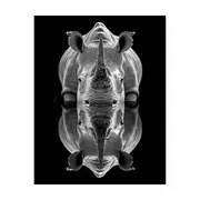 Rhino Framed Print Fine Art Poster Print