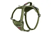 Halti Anatomy Dog Harness (Green) - UTTL5916