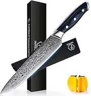 [8-Inch]Chef Knife FANTECK Professional Damascus Chef Knife High Carbon Ultra Sharp VG-10 Damascus Stainless Steel 67 Layers Kitchen Meat Cutting Gyuto Chef Knife [Gift Box]- Ergonomic Blue G10 Handle