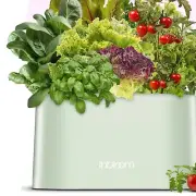 All-Season Hydroponics Kit with 2.5L Water Tank and Nutrient Support