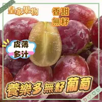 在飛比找樂天市場購物網優惠-養樂多紅無籽葡萄半箱5斤約3~4袋/整箱10斤約6~8袋【皇