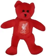 Mini Me To You Tatty Teddy Official Football Merchandise