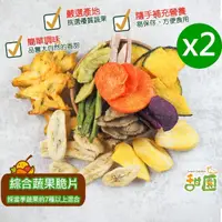 在飛比找momo購物網優惠-【甜園】綜合蔬果脆片-100gx2包(綜合蔬果、蔬果脆片、餅