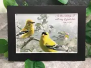 New Handmade 5x7 (Matted ) Scripture Inspirational Quote Songbirds Free Ship 450