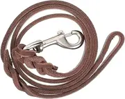 GALPADA Dog Leash Heavy Dog Training Leash Traction Walking and Harness Rope Lead Walk Large for Pull Traction Rope Puppy Puppy Brown