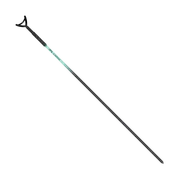 Sandspear