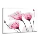 Albert Koetsier Harvested Love Glass Wall Art