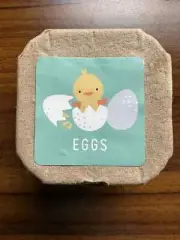 Anko 4 Wooden Play Eggs in Carton High Quality Educational Toy NEW