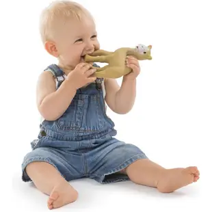現貨💎法國 Vulli 蘇菲長頸鹿 阿爾塔駱駝固齒器 布朗小鹿 寶寶磨牙玩具 新包裝 附發票