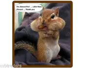 Funny Chipmunk Almost Full Refrigerator / Tool Box / File Cabinet / Magnet