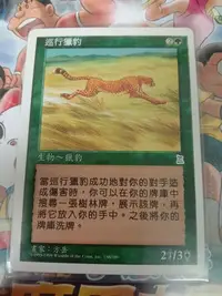 在飛比找Yahoo!奇摩拍賣優惠-免運   巡行獵豹 Hunting Cheetah 現貨