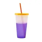 720ml Temperature Mug Bpa Free Reusable Straw Design Temperature Mug Portable