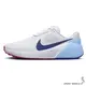 Nike 訓練鞋 男鞋 健身 有氧 AIR ZOOM TR 1 白藍【運動世界】DX9016-102