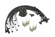 TST18 Truck Super Tune Up Kit for Jeep V8 Magnum Engines (for: Jeep)