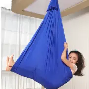 ADHD Therapy Sensory Swing Hammock Chair Seat Elastic Swing for Autism Kid AU