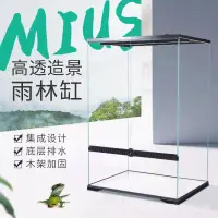 在飛比找蝦皮商城精選優惠-【MIUS直營】妙思雨林缸造景超白玻璃箱熱帶雨林植物動物飼養