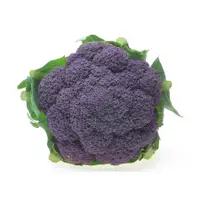 在飛比找蝦皮購物優惠-紫花椰菜種子~Cauliflower