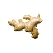Organic Fresh Ginger Bulk Box - Fresh, healthy organic delivery | Doorstep Organics