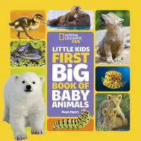 在飛比找博客來優惠-Little Kids First Big Book of 