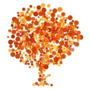 650Pcs Resin Buttons Favorite Findings Basic Buttons 2 and 4 Holes Craft