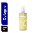 Frescal men Cologne 240ML Perfume Soft scent Original كالونيا فريسكال للرجال
