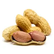 100% Natural Peanuts Whole Dry Shelled Peanuts Best Quality Dried Fruits Ceylon