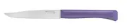 Opinel 002191 - 11cm Stainless Steel Bon Appetit Table/Steak Knives (Box of 12 with Violet Handles)
