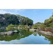 Save 38.00%! Fukuoka Castle and Hakata Highlights