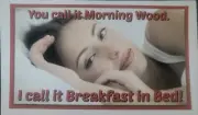 SEXY GIRL STICKER "MORNING WOOD BREAKFAST IN BED” 5 X 3“ SHINEY FINISH