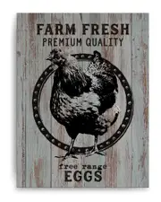 Ready2HangArt Farm Fresh Eggs Wrapped Canvas Wall Art by Olivia Rose