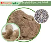 Capsule Of Pure Black Chuglam Fruits Terminalia Citrina Organic Herb Natural