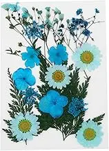 SEWACC 1Set DIY Dried Flower Material Package of Pressed Flowers for Handmade Bookmarks Includes Specimens for Crafting and Gifting