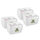 48pc Lemon & Lime Reusable Meal Prep Food Storage Container Rectangular 650ml