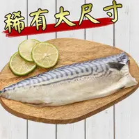 在飛比找鮮拾優惠-【凍凍鮮】 挪威薄鹽鯖魚片 240g (特大)