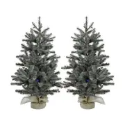 Fraser Hill Farm 2-Ft. Prelit Heritage Pine Accent Tree in Burlap Bag, Multi-...