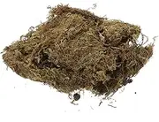 DOITOOL 2 Packs Dried Lichen for Decor Moss for DIY Gardening Bonsai Landscaping for Micro Landscape Decor and Photo Props