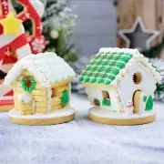 Small Gingerbread House Chocolate House Cookie House Gifts for Child