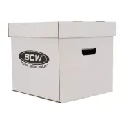 1 bundle of 10 BCW 33 RPM Record Storage Boxes
