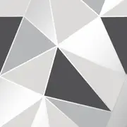 Apex Geometric Wallpaper Fine Decor Black/Silver