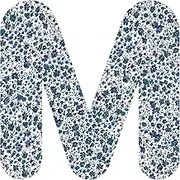Liberty Phoebe R M Upper Letter Applique, 2 Inch