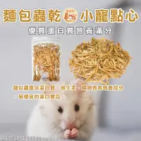 在飛比找蝦皮購物優惠-麵包蟲乾 蛋白點心 烏龜飼料 倉鼠飼料 老鼠飼料 鳥類飼料 