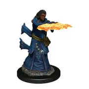 Dungeons & Dragons - Icons of the Realms Premium Human Wizard Female