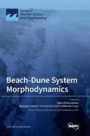 Beach-Dune System Morphodynamics by Felice D'Alessandro Hardcover Book