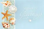 16 Boxed Christmas Cards Sea Shells Starfish Sand Dollar Tropical Beach Conch