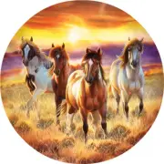 SunsOut Running in the Sun 500 Piece Jigsaw Puzzle By Cynthie Fisher