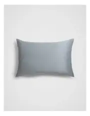 [Fine Day] Pure Silk Pillowcase in Light Blue