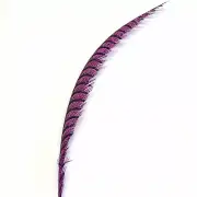 Lady Amherst Pheasant Centre Tail Feather - Hot Pink ((SECONDS))