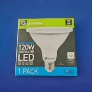 Greenlite Dusk To Dawn 120W Equivalent LED On At Night Off In The Day Floodlight